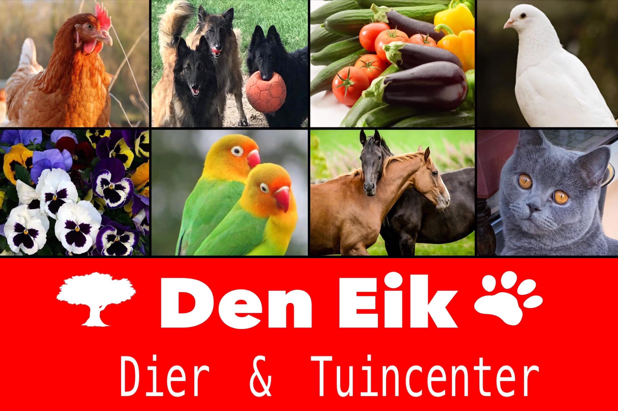 Dier & Tuincenter  DEN EIK 